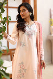 Luxury Embroidered AURORA 3PC Unstitched Lawn By Rangeen By Raaya