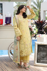 Premium Embroidered Yumna 3PC Unstitched Lawn By Rang Rasiya
