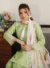 Premium Embroidered 3PC Lawn #6